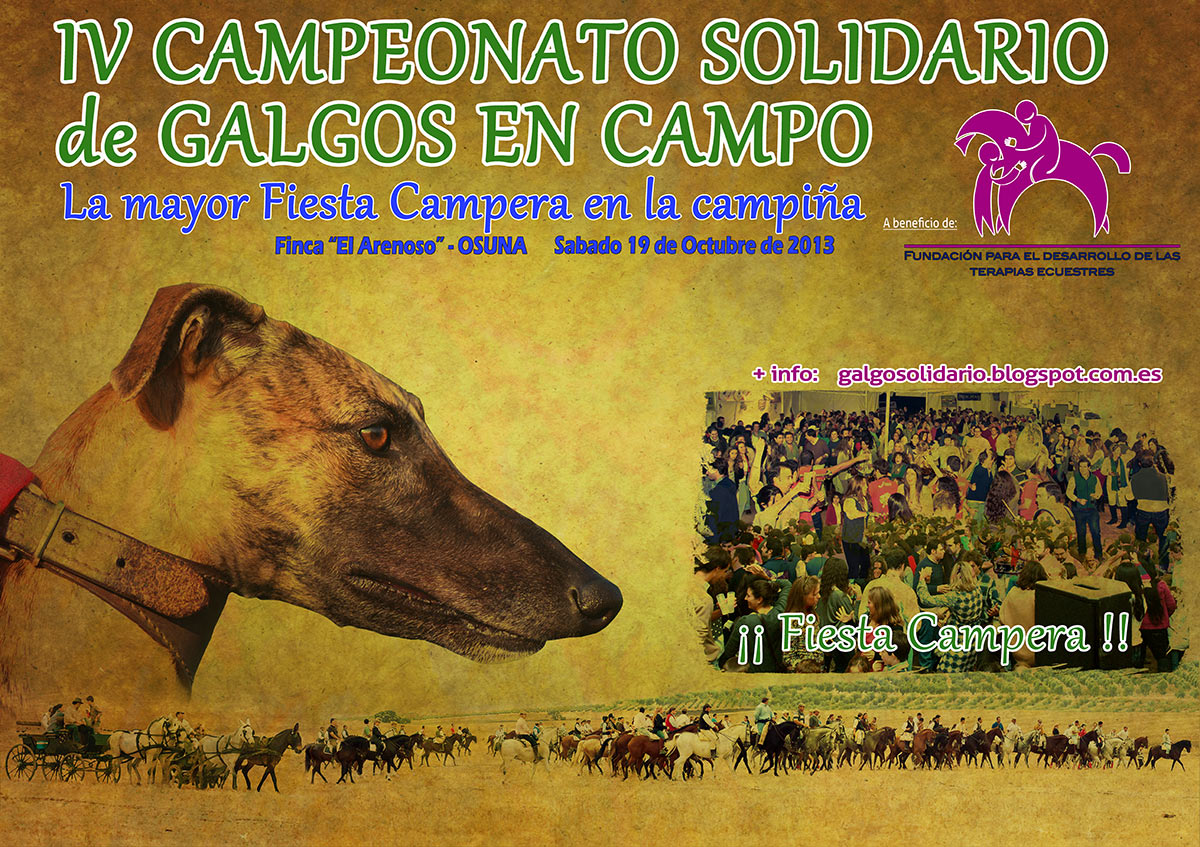 CARTEL-GALGOS-2013-EVO2