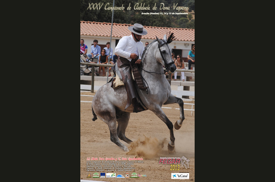 cartel fegar 2013