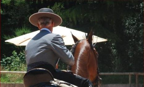 Campeonato de Cataluña de Doma Vaquera y Alta Escuela 2013