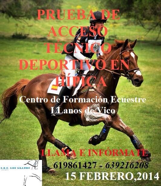 15 FEBRE