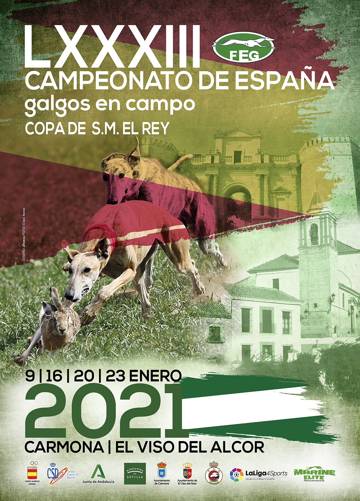 campeonato_galgos_2021 campeonato de españa de galgos 2021