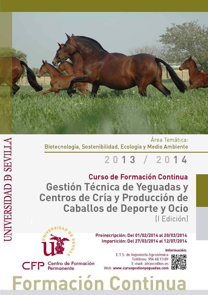 curso 1