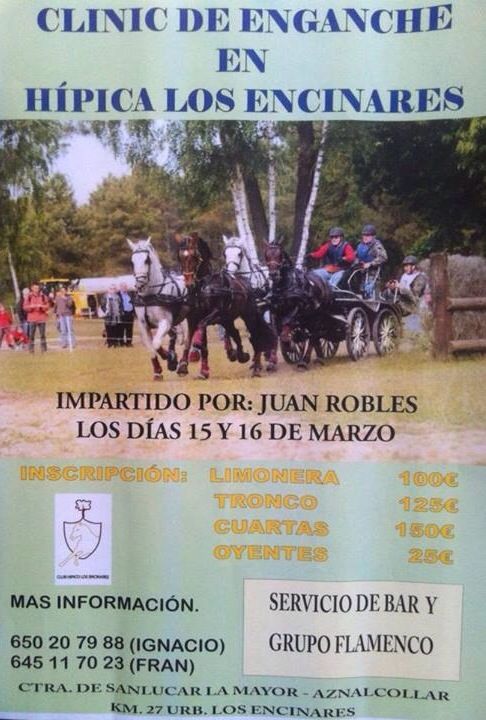 15,16-marzo
