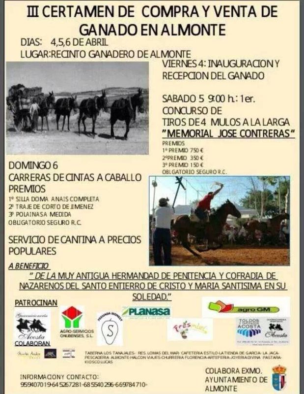 4,5,6 abril