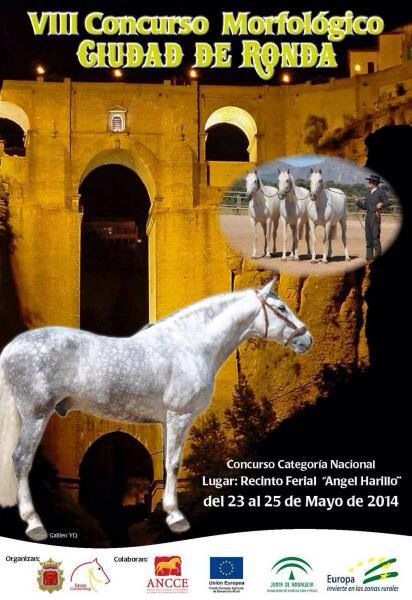 23-25 mayo ronda