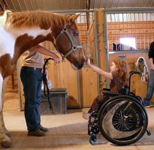 Equinoterapia