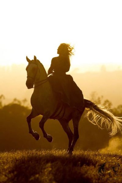 Equinoterapia