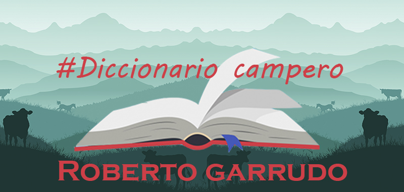 diccionario campero