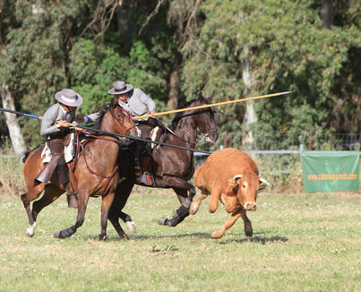 Juan Pedro Torres Rubiales amparado por Domingo Flor Regordan, Campeones de Andalucía de Acoso y Derribo 2015