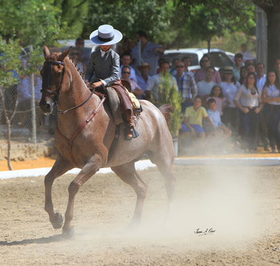 Oro en Alevines Luis Cordero Linares con Pitingo en el Campeonato de España de Doma Vaquera 2015