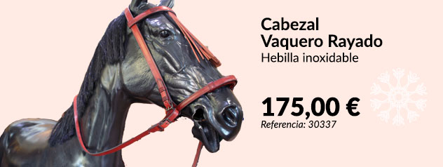 Cabezal de caballo 