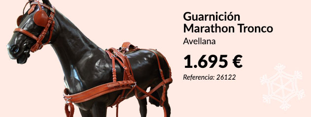 Guarnición para caball