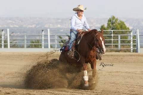 Reining