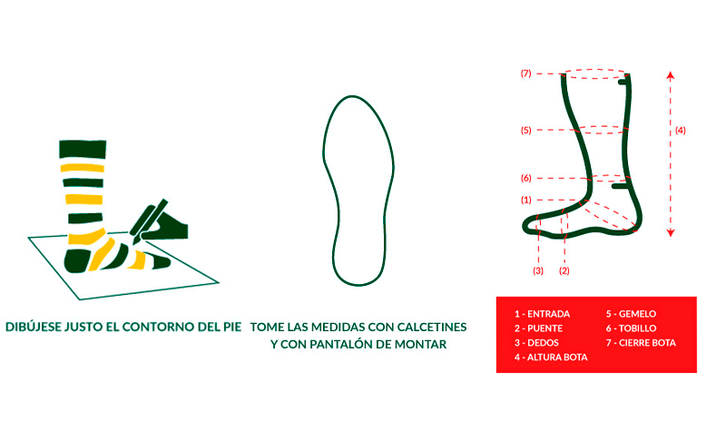 compo-grafico