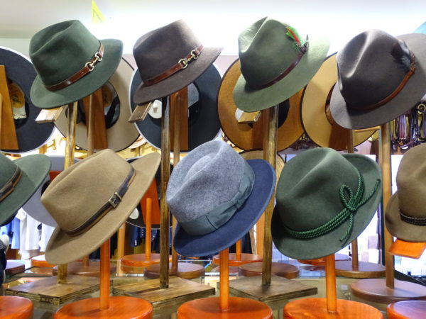 sombreros, mascotas, gorros
