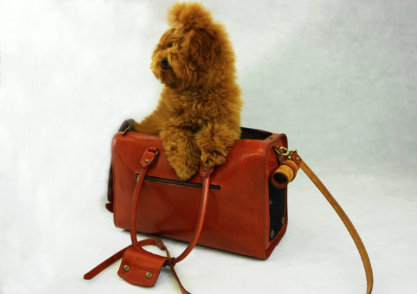 bolso para mascotas, transporte de mascotas, bolso para perrito