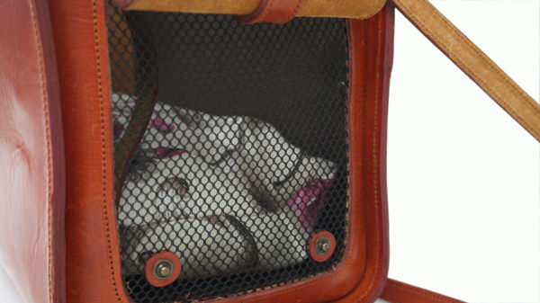bolso para perritos, llevar a mascotas