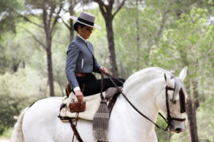 bolso rociero, comprar bolso para el rocío, bolso valverde del camino